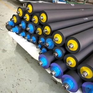 Rivestimento in polvere di nylon per rullo di stampa