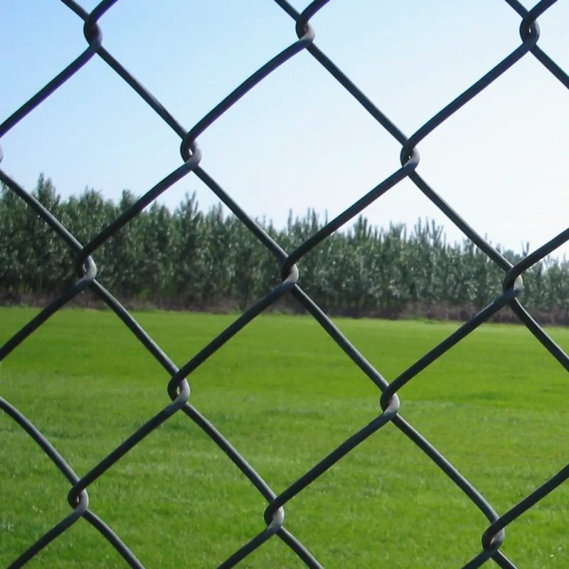 wire fence coated with thermoplastic pvc powder coating_